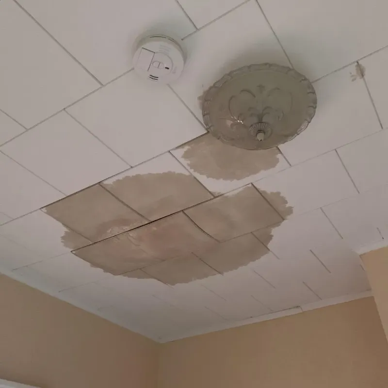 Ceiling Water Damage Repair in New Richmond, WI