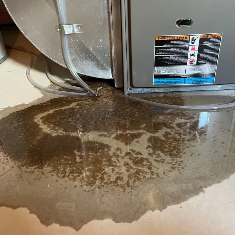 Pipe Burst and Leak Restoration in New Richmond, WI