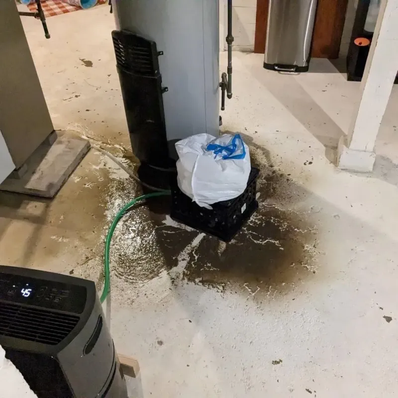 Sewage Backup Cleanup Service in New Richmond, WI
